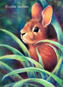 Cadbury Pastel e-Packet